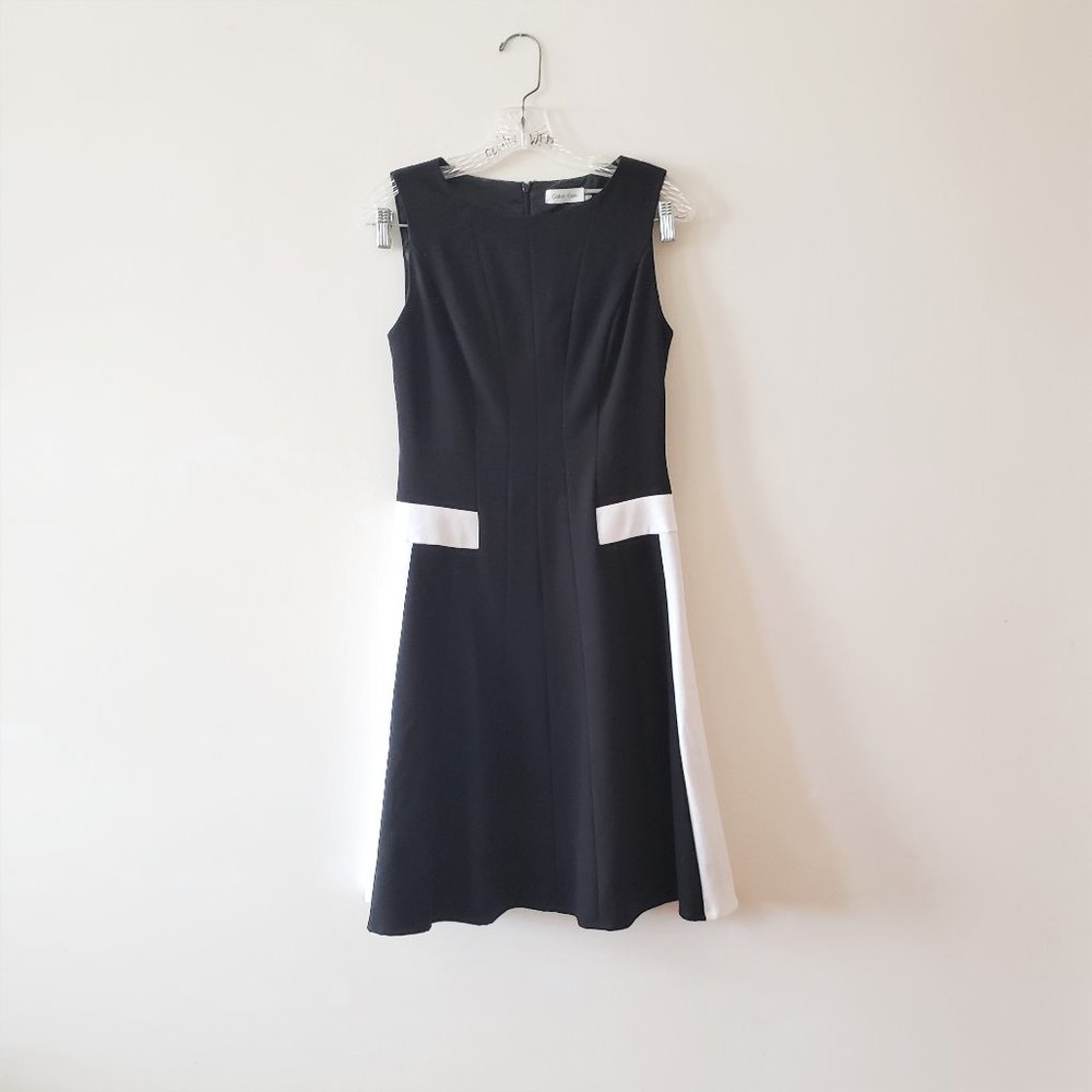 Calvin Klein BW Drop Waist Flare Dress 2
